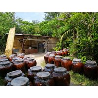 石垣の塩 500g 1個 沖縄 海塩