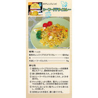 【非常食】尾西食品 尾西のレンジ+（プラス） ドライカレー 80g 1袋