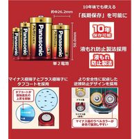 パナソニック アルカリ乾電池 単2形 6本シュリンクパック LR14XJ/6SW 1式