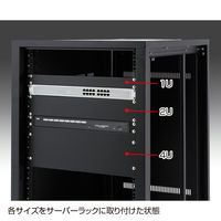 サンワサプライ ブランクパネル（1U） CP-SVBP1UBKN 1台（直送品）