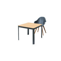 タカショー モントレックスチェア ブラック 1脚（直送品）