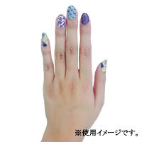 ワールドクラフト ネイルマスキングテープ 6PCS SET RED W01-NMT-0042 2セット（柄違い12巻入）（直送品）