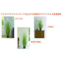 萩原 モニラ 光触媒加工付き 人工観葉植物 多肉シリーズ 1鉢（直送品）