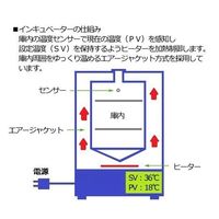 アズワン インキュベーター (タイマー・エアジャケット自然対流式) 135L EI-700V 1箱 1-9383-42（直送品）