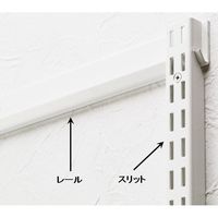 エスコ 615mm [ウォールラック用]レール EA976GA-1 1セット(2個:1個×2本)（直送品）