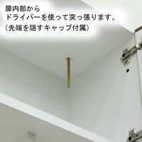 白井産業 リビュアル 壁面収納キャビネット 天井突っ張り ナチュラル 幅800×奥行313×高さ2380～2480mm 1台（直送品）