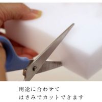 レック 激落ちキング S-694 1個 819-1070