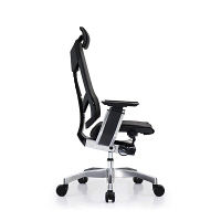 【車上渡し】 Ergohuman（エルゴヒューマン） ジェニディア 多機能オフィスチェア 肘付 エラストメリックメッシュ ブラック 1脚（直送品）