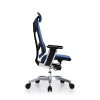 【車上渡し】 Ergohuman（エルゴヒューマン） ジェニディア 多機能オフィスチェア 肘付 エラストメリックメッシュ ブルー 1脚（直送品）