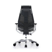 【車上渡し】 Ergohuman（エルゴヒューマン） ジェニディア 多機能オフィスチェア 肘付 エラストメリックメッシュ グレー 1脚（直送品）