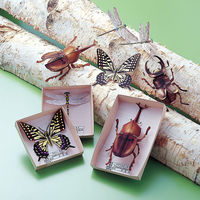 サンワサプライ インクジェット厚紙(スーパーファイン) JP-AGA6 5セット