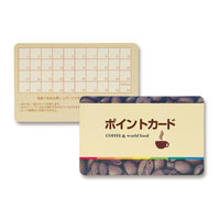 サンワサプライ レーザープリンタ用IDカード LBP-ID01 2セット（直送品）