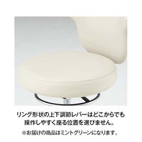 オカムラ 作業用チェア 肘付 背付 ナイロンキャスター 座面回転 ミントグリーン L891MK-PB22（直送品）