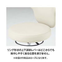 オカムラ 作業用チェア 肘付 背付 ナイロンキャスター 座面回転 ローズ L891MK-PB23（直送品）