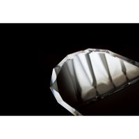 【軒先渡し】塩川光明堂 Org ウォールミラー ベネチア 幅450×奥行30×高さ650ｍｍ Orgベネチア600 1枚（直送品）