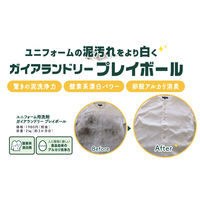 ガイアランドリー プレイボール2kg 泥汚れ専用洗剤 作業着洗剤 粉末洗剤 1個 グリーンテクノ21