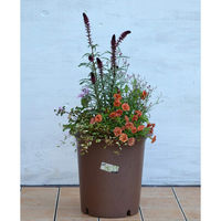 アップルウェアー 陶鉢 深型 9号 4905980104662 1個（直送品）