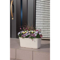 アップルウェアー セシルプランター 420型 4905980141865 1個