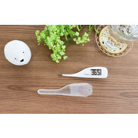 【電子体温計】 ドリテック 電子体温計 TO-204WT 1本