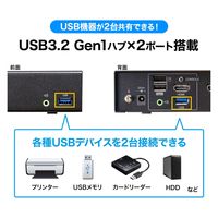 サンワサプライ 4K対応HDMIパソコン自動切替器(2:1) SW-KVM2U3HD 1個（直送品）
