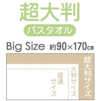 林 超大判バスタオル ネクストカラー ベージュ LL605028 1セット(3枚)