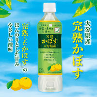 伊藤園 完熟 かぼす 大分県産 500g ニッポンエール 1箱（24本入）