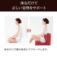 MTG Dr. Chair茶 ST-DC2039F-B 1個