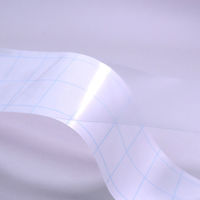 Neschen フィルムルックス 609 5cm幅×25m巻 FLS-404 1箱