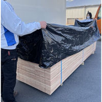 紅中 角型養生シート(PE) Qboid-sheet 3×10尺・高さ1m用 黒色 1袋(20枚入)（直送品）