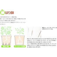 大和プラスチック 根はり鉢 8号 ホワイト 4.8L