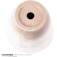 リッチェル ボタニープレーンポット 15型 ホワイト 鉢 1.4L