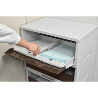 【軒先渡し】RISU（リス） ペーパー分類ボックス 4段 幅562×奥行383×高さ914ｍｍ ブラウン GGYC739 1台（直送品）