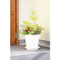 アップルウェアークラフトプレート 35型用 ホワイト 直径317mm 鉢用受皿