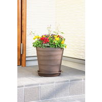 【園芸用品】アップルウェアークラフトプレート 40型用 ダークブラウン 直径372mm 鉢用受皿 ガーデニング