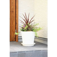 【園芸用品】アップルウェアークラフトプレート 40型用 ホワイト 直径372mm 鉢用受皿 ガーデニング