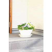 アップルウェアークラフトプレート 30型用 ホワイト 直径289mm 鉢用受皿