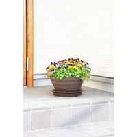 アップルウェアークラフトプレート 30型用 ダークブラウン 直径289mm 鉢用受皿