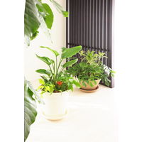 アップルウェアークラフトプレート 24型用 ホワイト 直径255mm 鉢用受皿