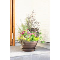 アップルウェアークラフトプレート 35型用 ダークブラウン 直径317mm 鉢用受皿