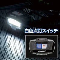 GENTOS COB LED搭載ヘッドライト CB-443D 5個