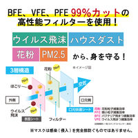 アイリスオーヤマ　プリーツマスク ふつう PN-NV50L 1セット（250枚：50枚入×5）