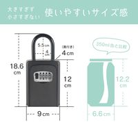 【キーボックス】カール事務器　スペアキーボックス　吊り下げタイプ　黒　CKB-S01-K　5個