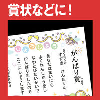 アスクル インクジェット&レーザー対応 厚紙用紙 A4  1冊（100枚入）  オリジナル（わけあり品）