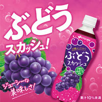 伊藤園 2種のこだわり ぶどうスカッシュ 450ml 1セット（48本）