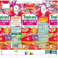 キリンビバレッジ トロピカーナ 実りの果樹園ミックス 250ml 紙パック 1セット（48本）
