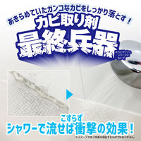 リベルタ カビダッシュ 特濃ストロングジェルR 500ML 886036 1ケース(500ML×24個)（直送品）
