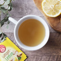 【ノンカフェイン】ポンパドール ジンジャー＆レモン 1セット(20バッグ入×5箱)【ティーバッグ】