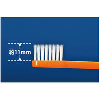 Ciメディカル リセラスクエアテーパー 32172 1セット(300本:60本入×5)