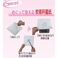 大同化工 ペーパー軟膏板 ねりサット クラフト紙（両面ラミネート加工） PN-22 1セット（250枚：50枚入×5）（直送品）