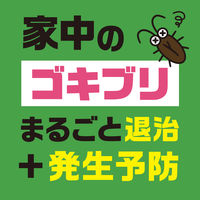 ゴキブリ 駆除剤 スプレー おすだけアースレッド 無煙プッシュ 80プッシュ 1個 ゴキブリ対策 退治 殺虫剤 アース製薬